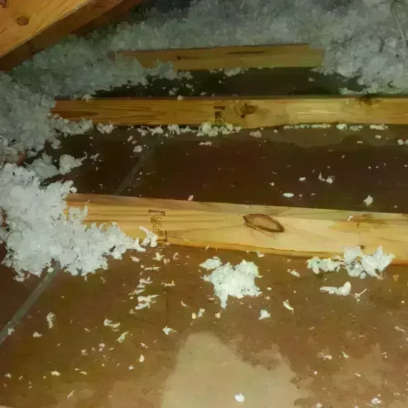 Attic Water Damage in Neshoba County, MS