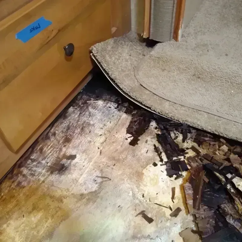 Best Wood Floor Water Damage Service in Neshoba County, MS